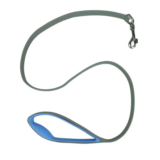 Vibrant Life 4-Foot Dog Leash, Teal and Gray - PawsPlanet Australia