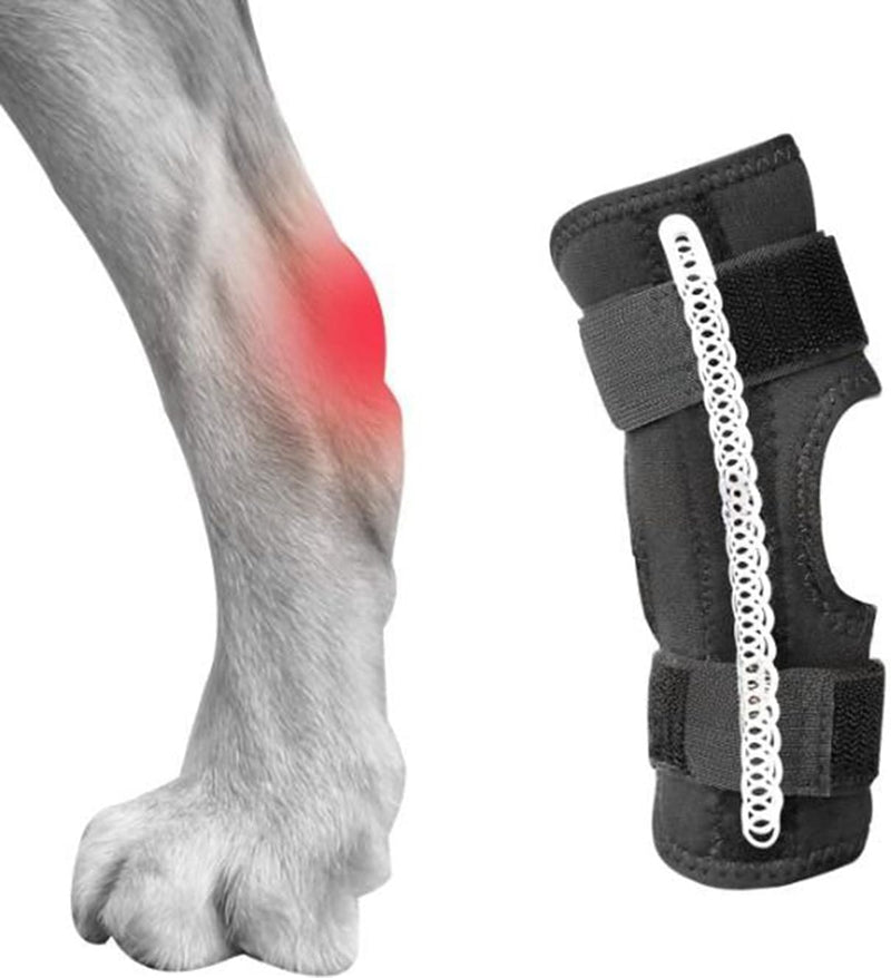 Dog Leg Braces for Back Leg with Three Metal Spring Inserts, Dog Hock Joint Brace for Hind Leg, Hock Splint for Dogs with Fractures, Sprains and Canine Arthritis (X-Large) X-Large - PawsPlanet Australia