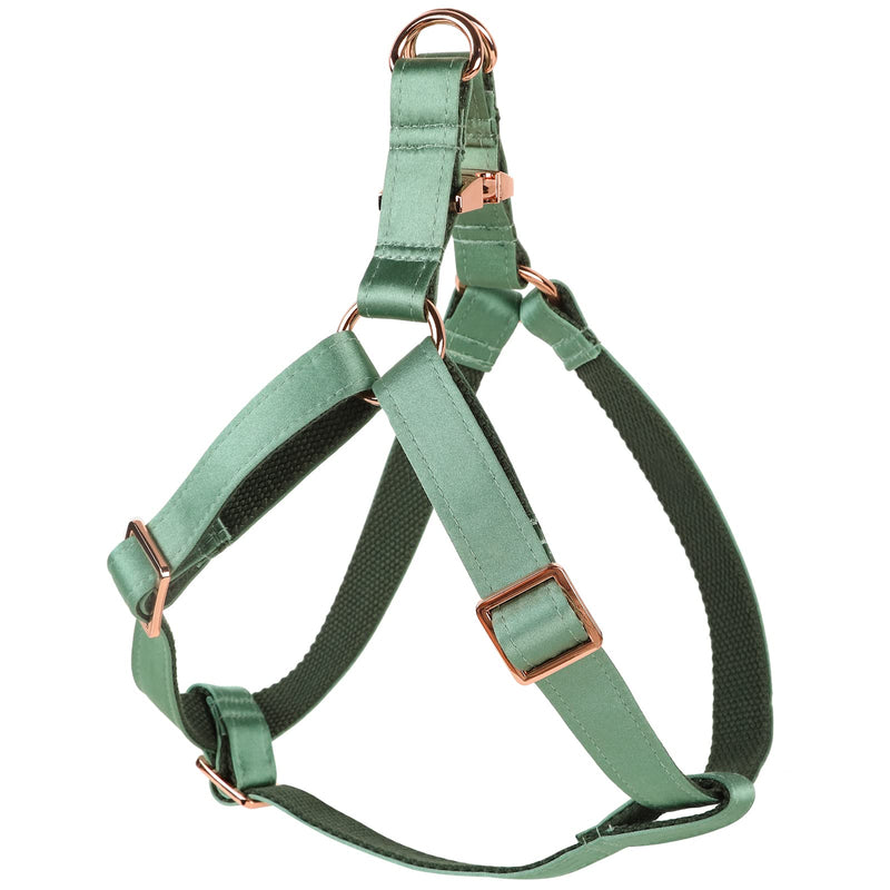 Lionet Paws Dog Harness, No-Pull Adjustable Silk Nylon Webbing Pet Harness with Metal Buckle for Small Dogs Easy Walking, Grass Green, S - PawsPlanet Australia