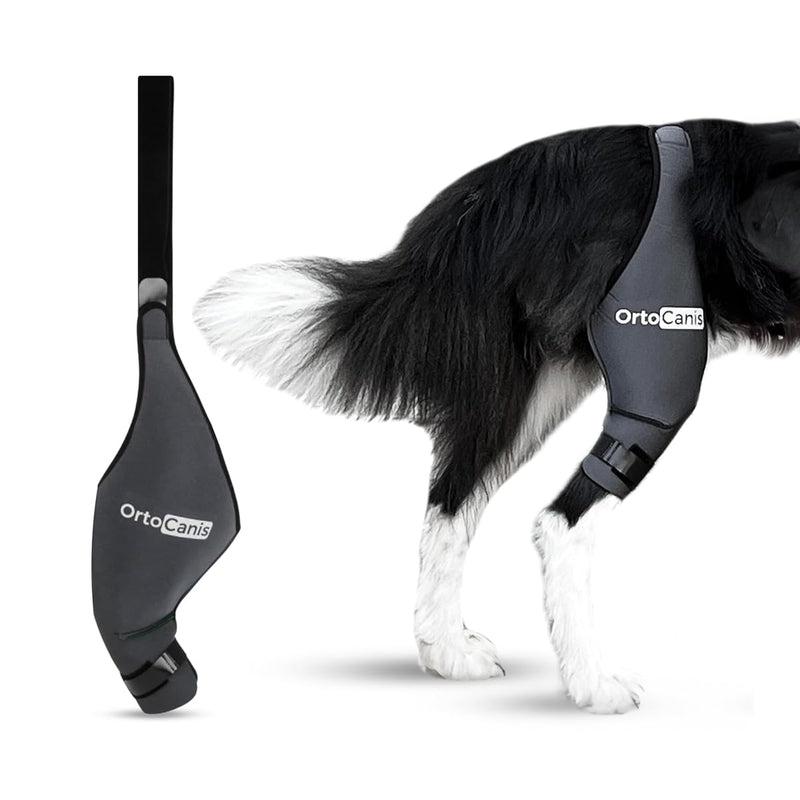 Ortocanis - Dog Knee Brace - for Left Hind Leg - Made of ARD Neoprene - for ACL Tear, Ligament Injuries, Patellar Luxation or Osteoarthritis - Size Large (12,3-14,2 ") Left Leg Size Large (12,3 - 14,2 ") - PawsPlanet Australia