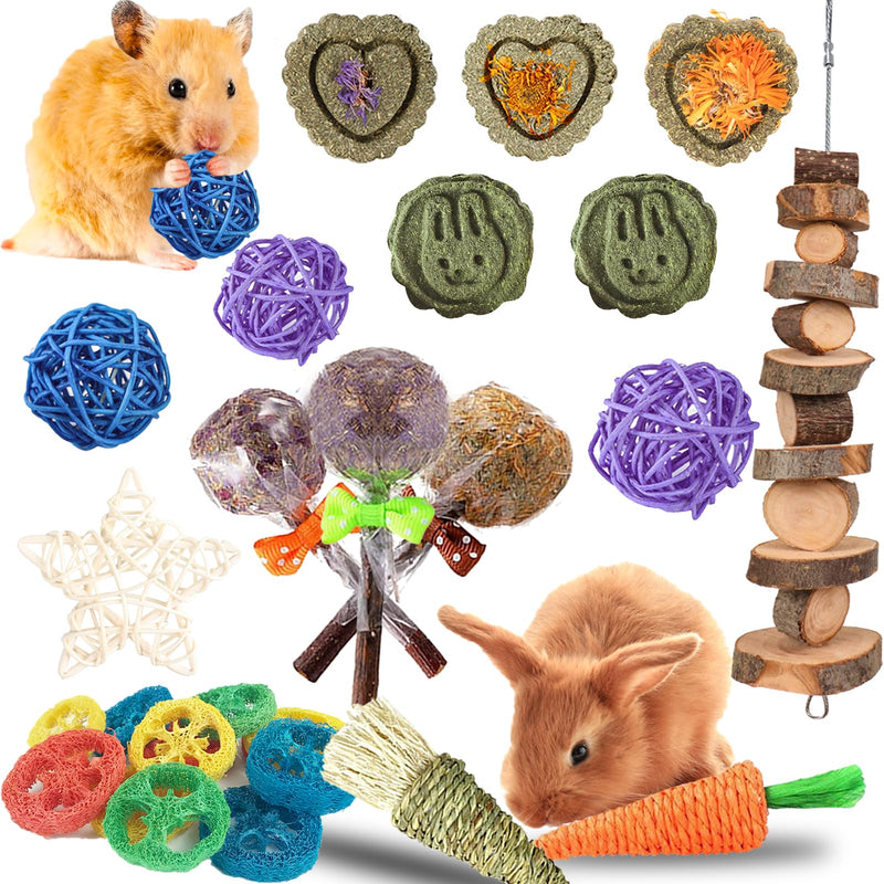 20 Pcs Rabbit Chew Toys for Teeth, Natural Wood Sticks Timothy Grass Chew Bunny Treat Toys for Rabbit Guinea Pig Hamster Chinchilla Gerbil - PawsPlanet Australia