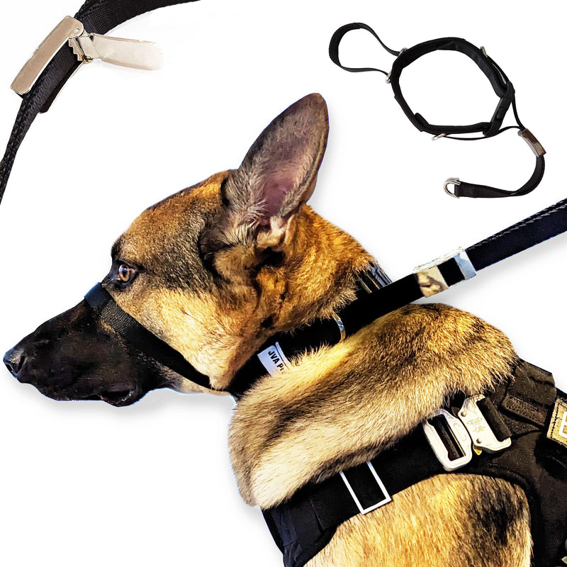 PetsProMax Dog Headcollar for Pulling & Reactive Dogs – No-Pull Training Collar with Behind-Head Leash Hook for Peaceful Walks, Instantly Stops Pulling Without Choking, Pinching, or Hurting Neck (XL) Extra Large (XL) Black - PawsPlanet Australia