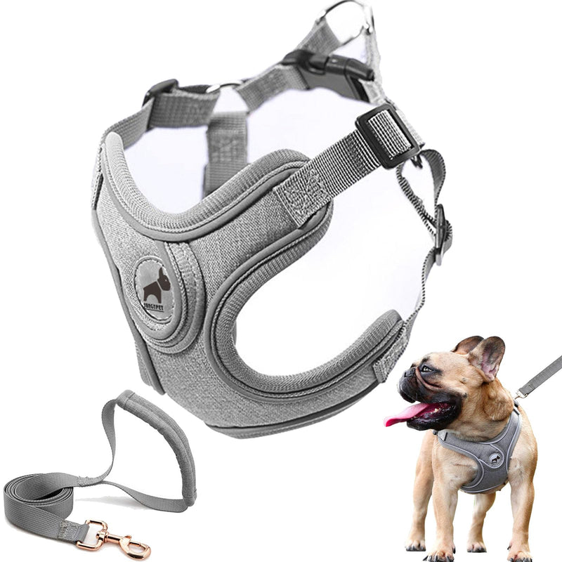 Dog Frenchie Harness with Leash Set, No Pull Adjustable Step in with Breathable Padded Vest Harness for Small Medium Large Dogs Walking and Running(M, Gray) - PawsPlanet Australia