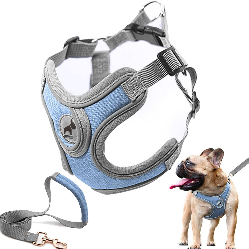 Dog Harness with Leash Set, Adjustable Step in Collars Harness with Breathable Padded Vest for Small Medium Large Dogs Training and Running(M, Blue) - PawsPlanet Australia