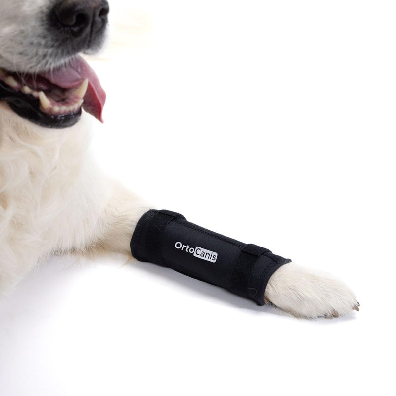 Ortocanis - Dog Carpal Support Brace - Carpal Instability or Osteoarthritis - Stabilizes and Reduces Pain - with Two Immobilization Splints - Made of Neoprene - Size M 8-10 cm Medium - PawsPlanet Australia