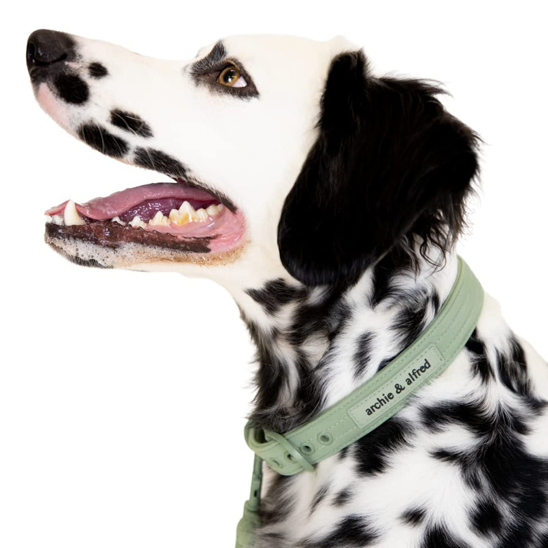 Heavy Duty Adjustable Dog Collar | Odor Proof and Easy to Clean | Made with a Comfortable Fabric and Metal Hardware | archie & alfred (Size Medium) Green - PawsPlanet Australia