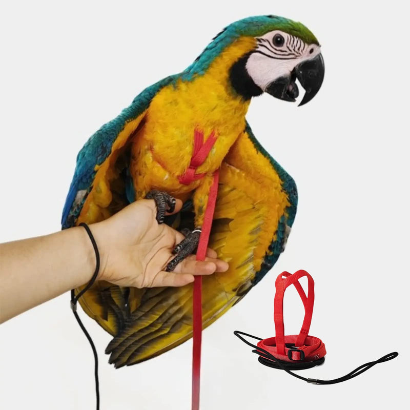 Adjustable Bird Harness with 78.7 Inch Leash, Outdoor Flying Training Rope Kit for Bird Parrots, Parrot Flying Rope Straps Outdoor Training Traction Rope for Small Medium Large Size Birds (XL) XL - PawsPlanet Australia