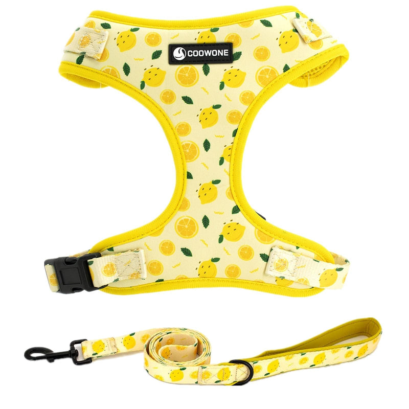 Dog Harness and Leash Set, Adjustable Dog Harness, Dog Leash, No Pull No Choke Puppy Harnesses for Walking Training for Small Medium Pet XS(Chest 9.9 - 13.5", Neck 7.8 - 10.2") Lemon - PawsPlanet Australia