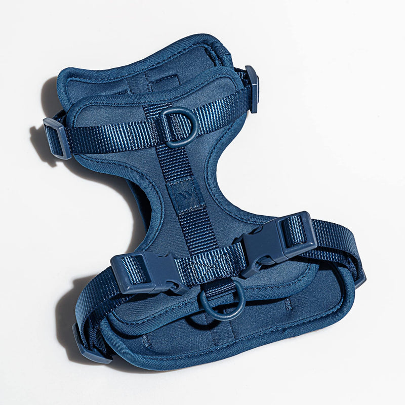 Wild One Harness 2.0 - Large - Blue - PawsPlanet Australia