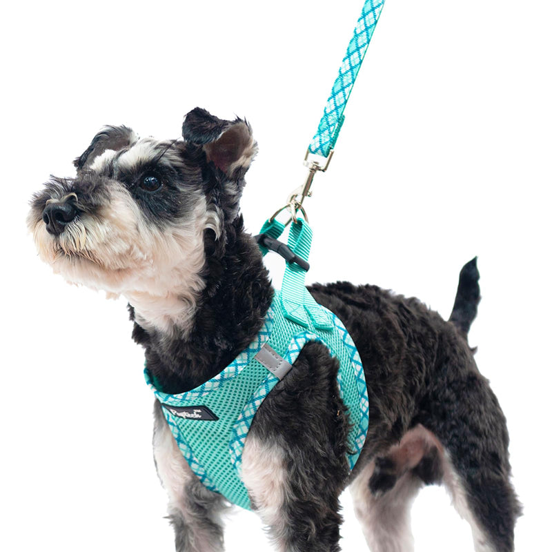 PUPTECK Dog Harness and Leash Set for Small Medium Dogs No Pull Step-in Soft Mesh Puppy Cat Vest Harnesses Reflective at Night, Green S S(CHEST 14.5"-16", 6.6-14 lbs) #1 Green(Basic Mesh) - PawsPlanet Australia