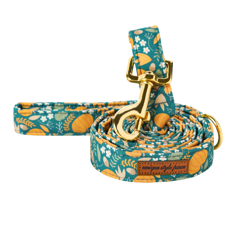 Unique style paws Fall Dog Leash with Soft and Comfy Handle Dog Traction Rope for Dogs and Cats-Green Pumpkin-M Medium Green pumpkin - PawsPlanet Australia