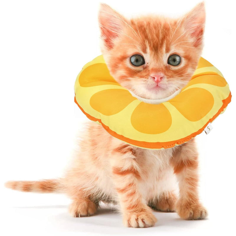 Extra Small Kitten Cone After Surgery Neuter, Soft Elizabethan Collar for Kitten 0-6 Months Old, Small Cat Recovery Collar, Kitten E Collar Alternative, Kitten Donut Collar to Stop Licking S for Kitten [Neck: Up to 7.5"] - PawsPlanet Australia
