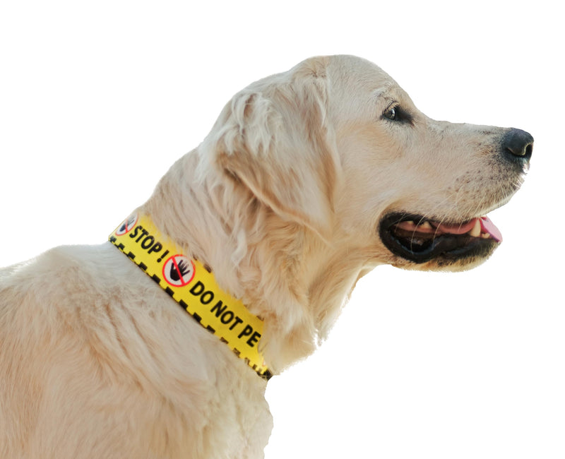 Dingo Do Not Pet Collar Adjustable 40-67 cm for Dog with Special Needs 15362 Yellow 40 to 67 cm (Pack of 1) - PawsPlanet Australia