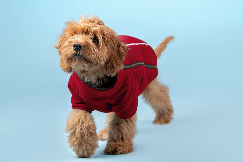 BoxDog Polar Fleece Warm Dog Jacket I Cold Weather Dog Coat | Dog Jackets Size XS, Small, Medium, Large, XLarge, XXL (Medium, Red)