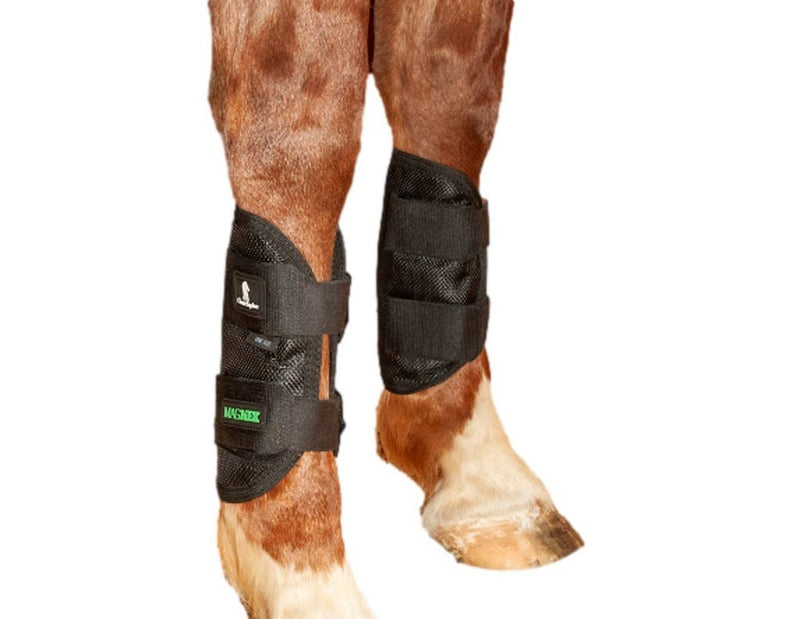 Classic Equine MagNTX Tendon Wrap - PawsPlanet Australia