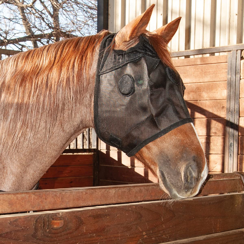 Classic Equine MagNTX Mask - PawsPlanet Australia