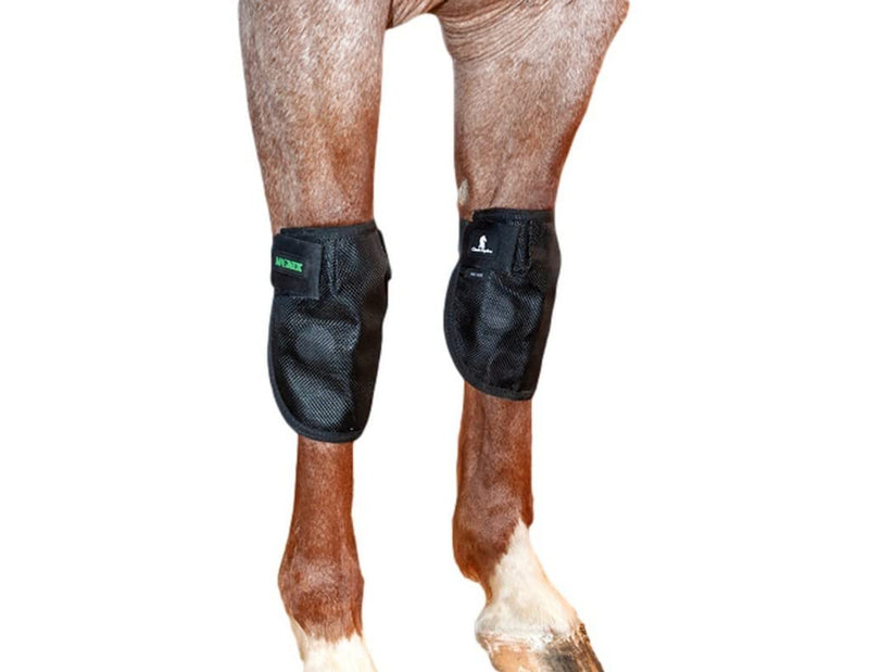 Classic Equine MagNTX Knee Wrap - PawsPlanet Australia