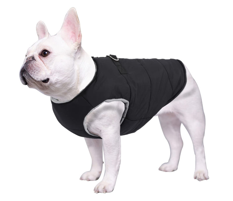 Geyecete Dog Bulldog Clothes Dog Cotton Padded Coat Thick Winter Warm Vest Waistcoat Cold Weather Jacket Clothing for French Bulldog Coat-Black-M Medium Black - PawsPlanet Australia