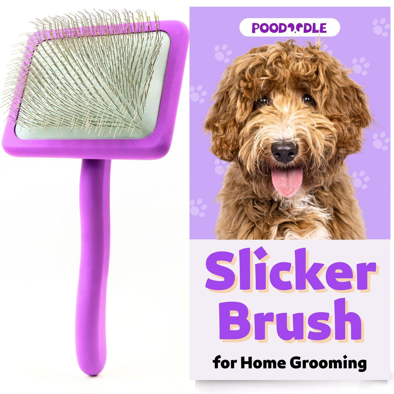 Dog Slicker Brush, Grooming Brush for Poodle, Doodle, Goldendoodle & All Long Haired Dogs, Long Pin Wood Brush Pefect for Dematting & Detangling, Effortless Grooming Pet Hair At Home - Large - PawsPlanet Australia