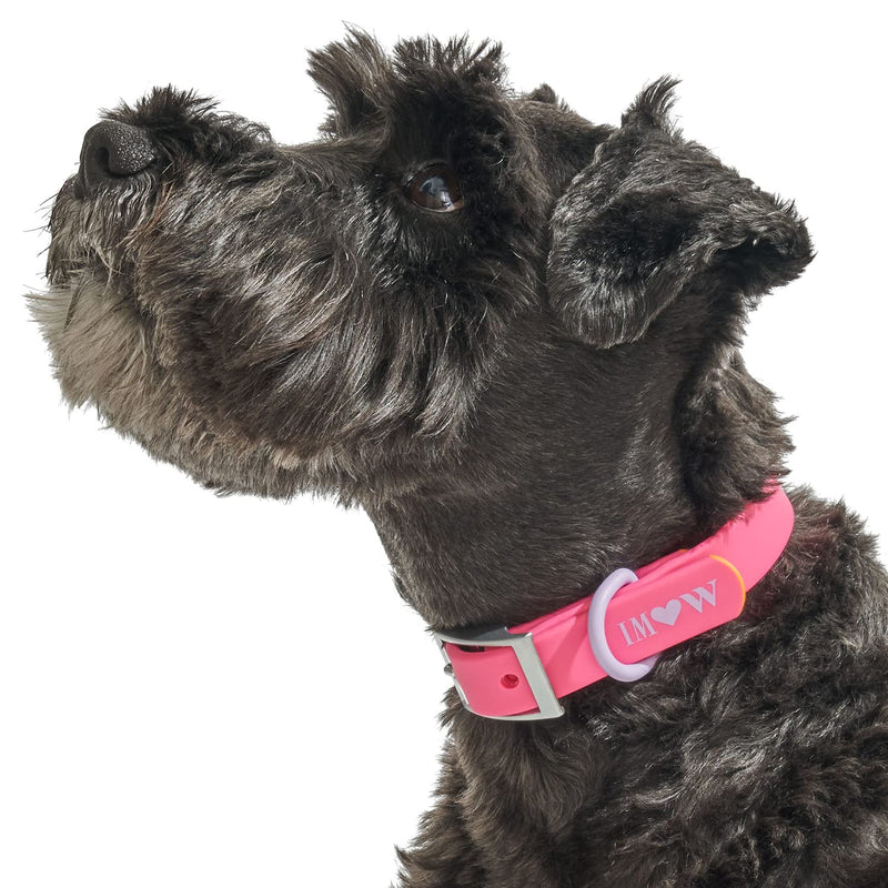 Wild One, Limited Edition, Designer Collection, Pink Dog Collar, Easy-Clean, All Weather Flex-Poly Strap with Metal, Durable, Dirt and Odor Resistant, Large - PawsPlanet Australia