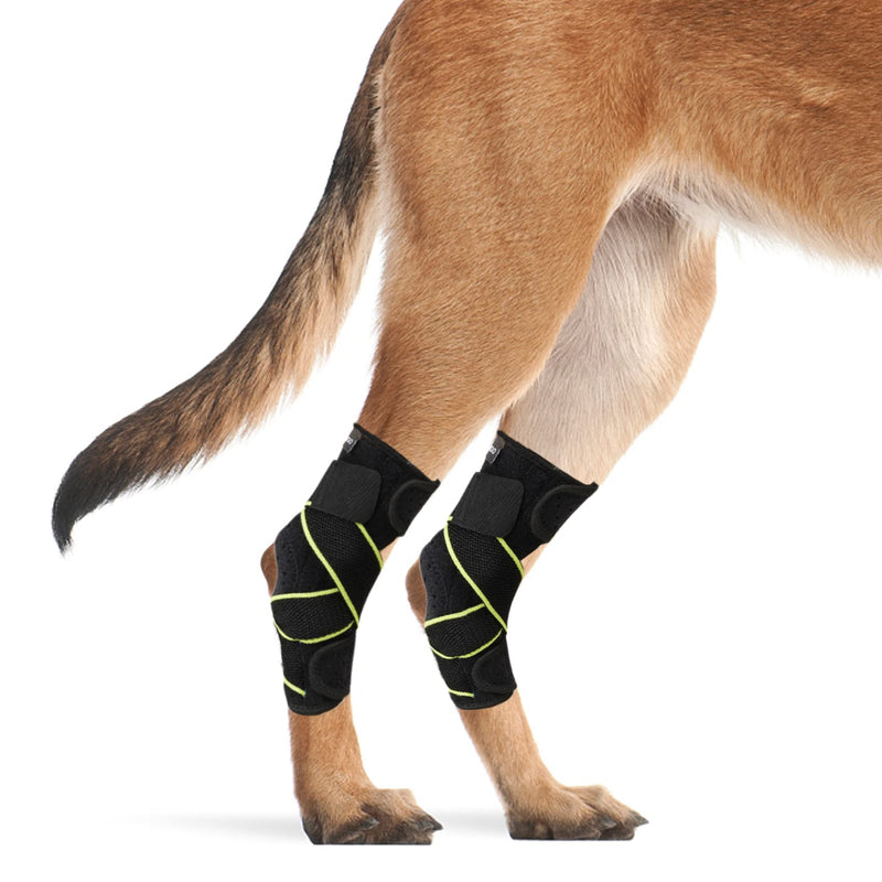 Dog Canine Rear Leg Hock Joint Brace, Pair of Dog Leg Double Compression Brace with Metal Spring Strips, Protects Hind Leg Wounds, Injuries and Sprains Helps Arthritis-M Medium - PawsPlanet Australia