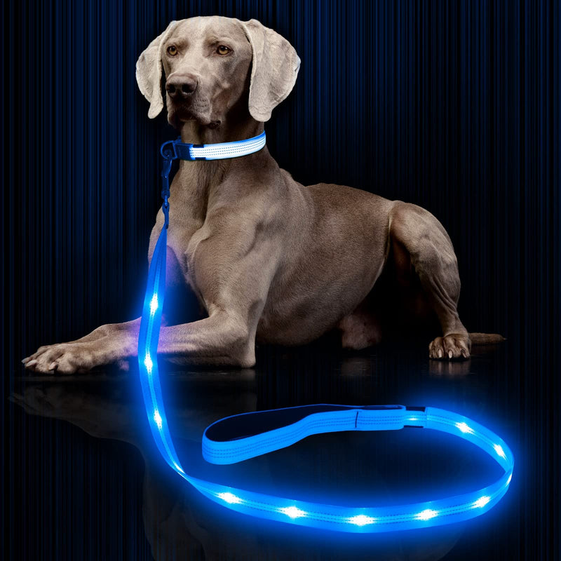 Weesiber Glowing Light Up LED Dog Leash - 4ft USB Rechargeable Flashing Nylon Leash for Small Medium Large Dogs, 3 Flash Modes Blue - PawsPlanet Australia