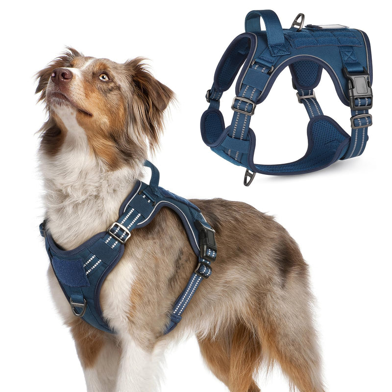 rabbitgoo Dog Harness No Pull, Military Dog Harness Medium Sized Dog with Handle & Molle, Easy Control Service Dog Vest Harness Training Walking, Adjustable Reflective Tactical Pet Harness, Blue, M - PawsPlanet Australia