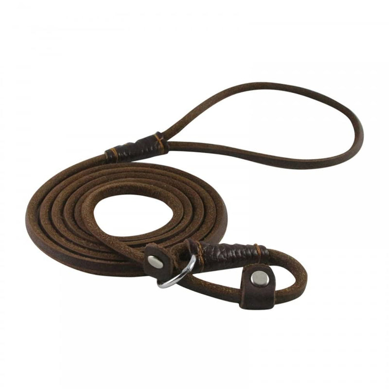 DONGKER Dog Slip Lead,5ft 2-in-1 Leather Pet Training Walking Leash Adjustable Neck Size for Small Medium Lage Dogs - PawsPlanet Australia