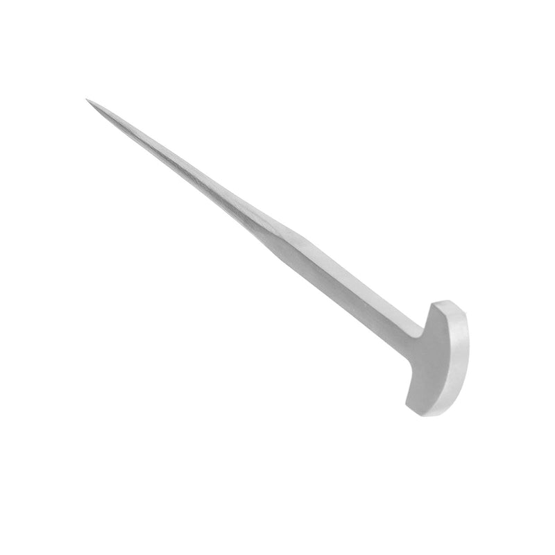 Spike, Fish Nail Thickened for Kitchen for Restaurant for Fish for - PawsPlanet Australia