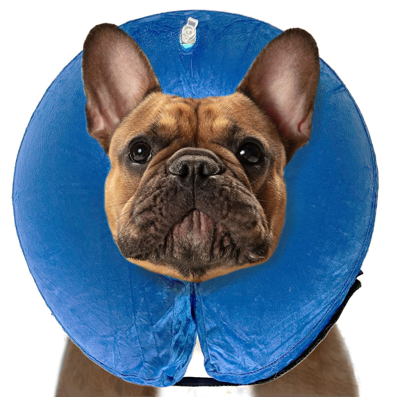 SIMENA Inflatable Pet Recovery Cone Collar for Cats and Dogs, Protective After-Surgery Adjustable Cone to Prevent from Biting and Scratching, Comfy Pet Collar (Blue, Small) Blue - PawsPlanet Australia