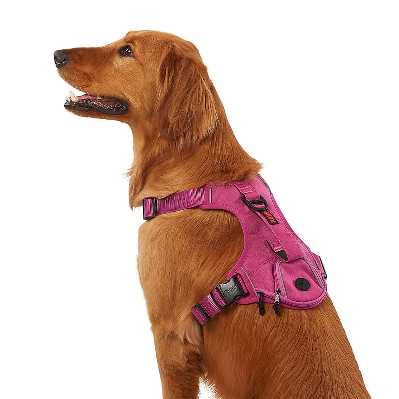 KONG Ultra Durable Waste Bag Harness (Large, Pink) - PawsPlanet Australia