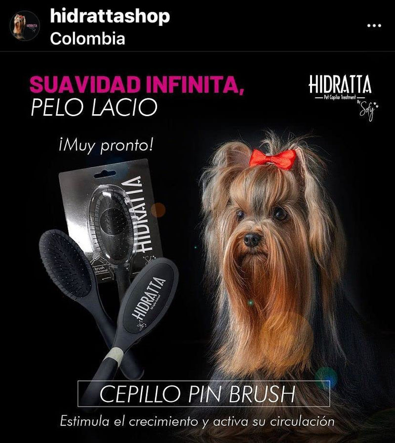 Hairbrush for pets - cepillo mantequilla - PawsPlanet Australia