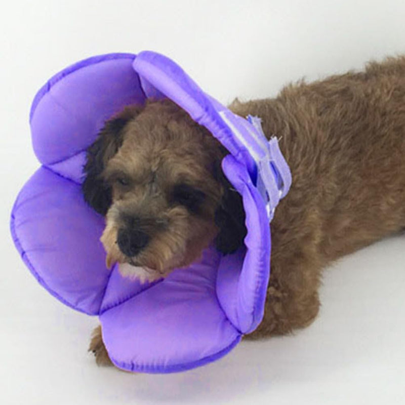 POPETPOP Small Dog Recovery Collar - Cute Cat Flower Neck Cone After Surgery, Adjustable Pet Collar, Surgery Recovery Elizabethan Collars for Small Pets (Purple, M) Medium Purple - PawsPlanet Australia