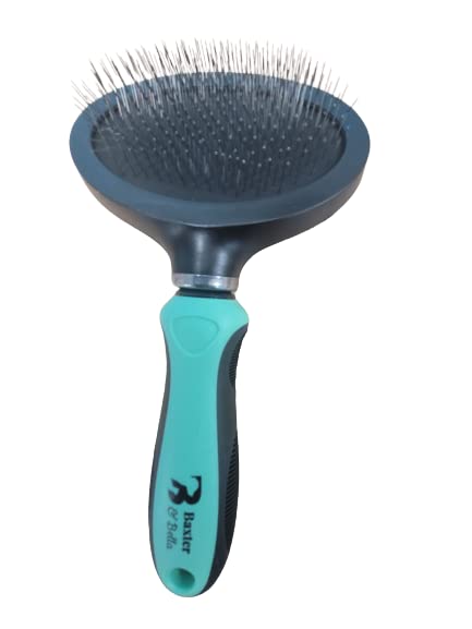 Baxter & Bella Oval Head slicker brush. Helps remove dander, loose hair and Matting from your cats coat. - PawsPlanet Australia