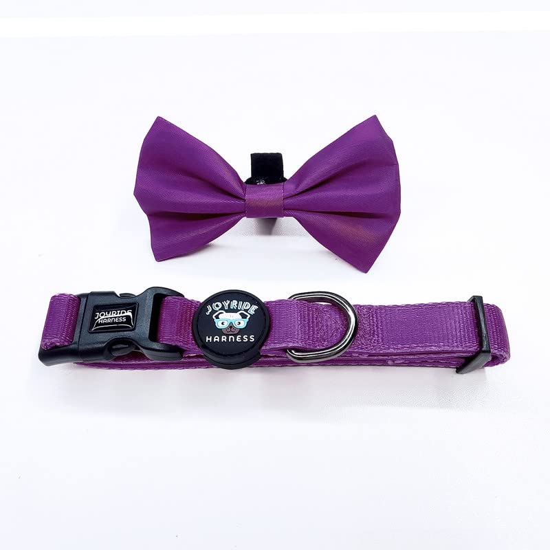 Joyride Harness Dog Collar with Removable Bowtie - Adjustable and Breathable for All Dog Breeds, Strong D-Ring and Heavy Duty Buckle, for Pet Lovers Purple XS - PawsPlanet Australia