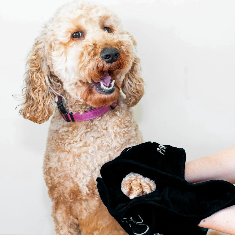 Paw Cleaning Towel for Dogs Dual Hand Pockets removes Dirt and Mud Absorbent Cotton Blend Also Great for Drying. Black