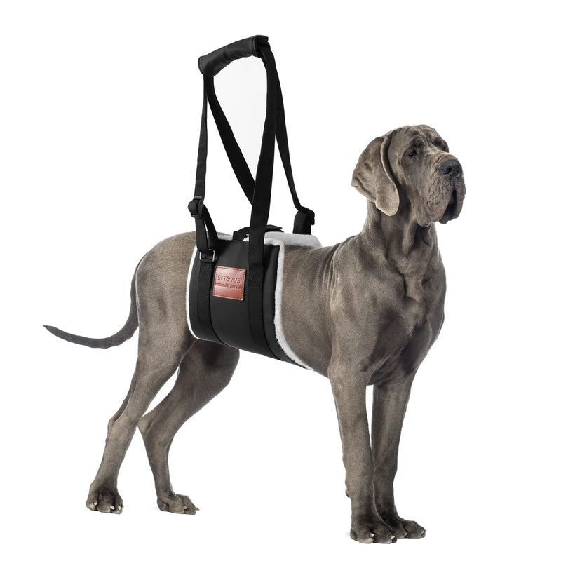 Dog Sling for Back Legs, Dog Lift Harness, Magic Tape Dog Sling for Large Dogs Hind Leg Support, Elderly Dog Lifter, Help Canie Hip Arthritis K9 Cruciate Ligament Rehabilitation (Large) Black - PawsPlanet Australia