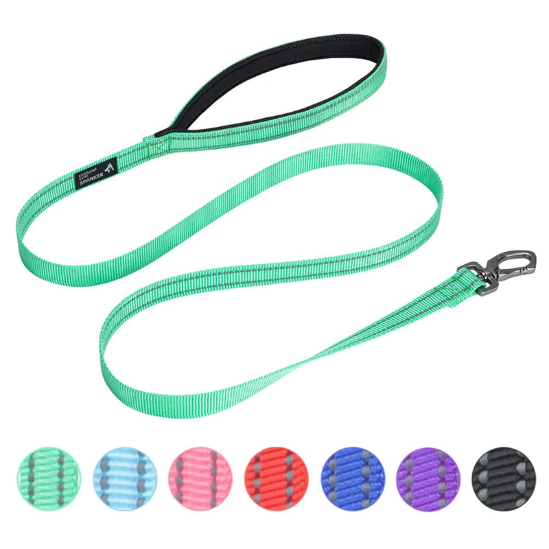 EXCELLENT ELITE SPANKER Strong Durable Nylon Dog Training Leash Traction Rope 4 Feet Long 3/4" Wide with Handle for Small Dogs(Green) 4.3ft x 3/4 in. Green - PawsPlanet Australia