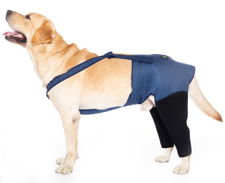 Coodeo Dog Recovery Suit, Cone Collar Alternative, Abrasion Resistant Dog Recovery Rear Sleeves, Washable 2.5mm Thick and Waterproof, Pet Wounds Prevent Licking, Biting (2XL, Blue) XX-Large - PawsPlanet Australia