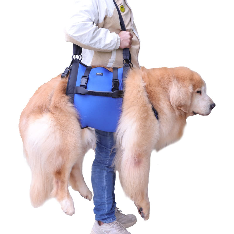 Dog Carry Sling, Emergency Backpack Pet Legs Support & Rehabilitation Dog Lift Harness for Large Dogs, Dog Carrier for Senior Dogs Joint Injuries, Arthritis, Up and Down Stairs (Blue, XL) Blue - PawsPlanet Australia
