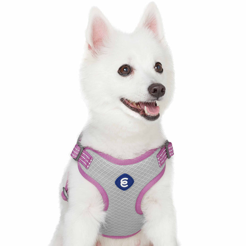 Blueberry Pet Essentials Back to Basics Reflective Dog Harness Vest, Mauve Orchid, Small, Adjustable Harnesses for Dogs Small (Pack of 1) - PawsPlanet Australia