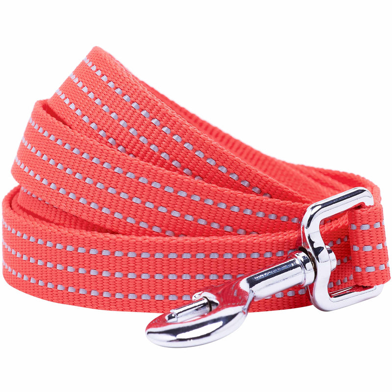 Blueberry Pet Essentials Reflective Better Basics Dog Leash, Fiery Red, 5 ft x 5/8", Small, Leashes for Dogs - PawsPlanet Australia