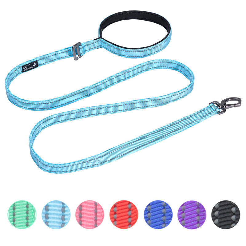 EXCELLENT ELITE SPANKER Double Layer Reflective Nylon Dog Leash Padded Handle 5 FT Nylon Dogs Leashes for Walking Training Lead for Small & Medium Dogs(Light Blue) 5ft * 3/4" Light Blue - PawsPlanet Australia