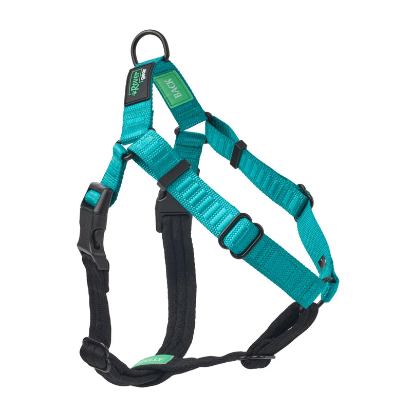 Better Walk No-Pull Dog Harness, Teal, 1” Medium – Stay in Control with Adjustable, Comfortable, Easy to Wear, & Durable Dog Harness – Ideal for Medium Dogs 35-65lb Aqua Teal - PawsPlanet Australia