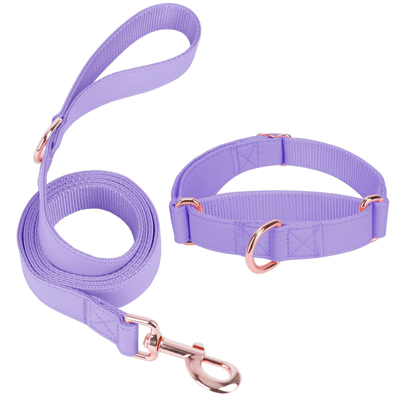 Soft Leather Martingale Dog Collar - Adjustable Rose Gold Limited Slip Collars [Easy to Clean], Stylish Durable Heavy Duty Nylon No Pull Training Collar for Small Medium Large Dogs (M, Set Purple) M (Neck 14"-21", Width 1") - PawsPlanet Australia