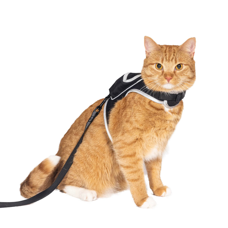 Travel Cat & Stray Cat Harness and Leash Set - Adjustable Velcro Mesh Cat Harness and Strong Nylon Leash Kit - Comfort Escape Proof Harness for Cats, Kitten for Outdoor Walking (Large: 13-16 in) LARGE: 13-16 IN - PawsPlanet Australia