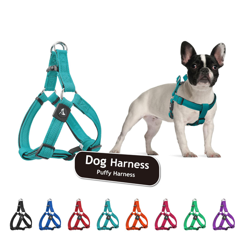Kruz No Pull Dog Harness (Chest 26”-38”, Weight 44-88 lbs) Heavy-Duty Pet Harness for Large Breeds, Ultra-Comfort Fit, Lifetime Durability, Adjustable Dog Harness No Pull Design (Turquoise, Large) Turquoise - PawsPlanet Australia