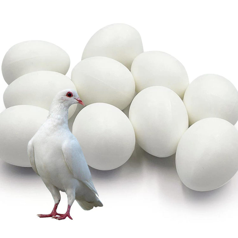 10pcs Solid Plastic Pigeon Eggs Fake Eggs for Racing Pigeons Hatching Supplies - PawsPlanet Australia