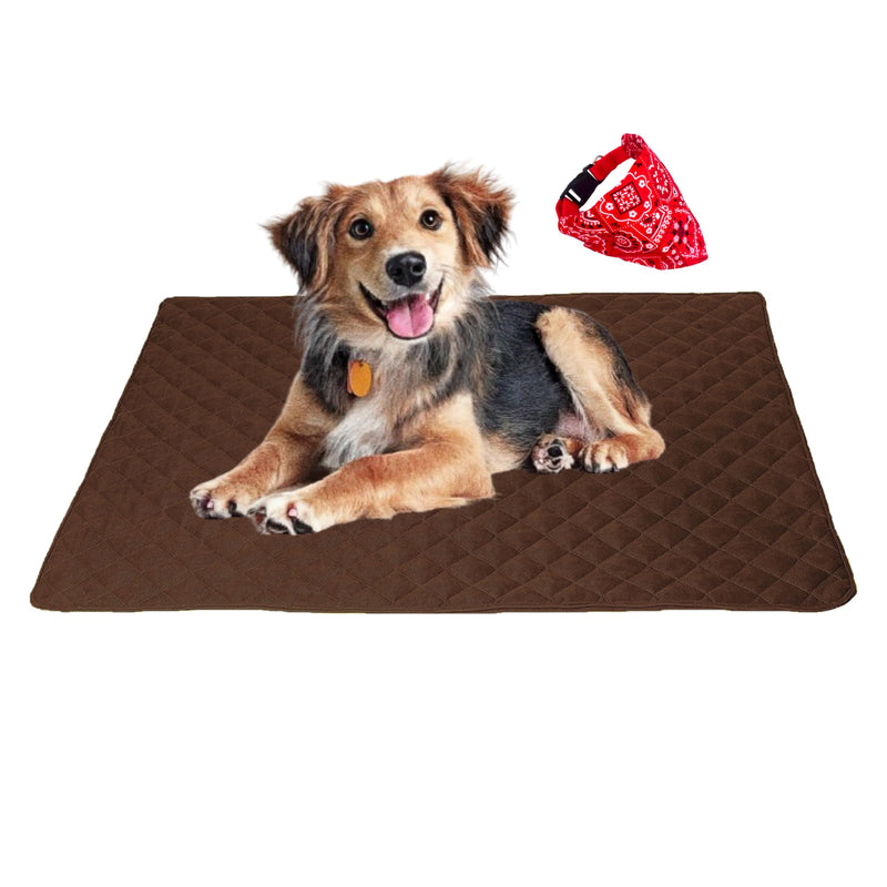 ariika Waterproof Couch Covers for Pets - Durable, Scratch-Resistant - Eco-Friendly Polyester & Cotton Mix, Odor-Free, Ideal for All Breeds - Dog Bed Cover for Sofa, Floor, Car Seats and Bed Brown 47.0"L x 35.0"W x 0.4"Th - PawsPlanet Australia