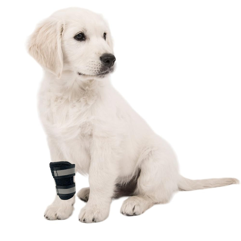 Dog Leg Brace, Rear Ankle Compression Wrap, Used for Supporting Injuries and Sprains, Wound Care, Stability Loss Due to Arthritis(Size: XS) - PawsPlanet Australia